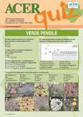 Acer Quiz